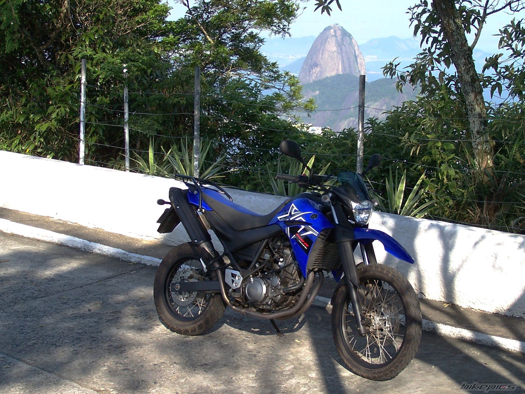 Photo 1460264