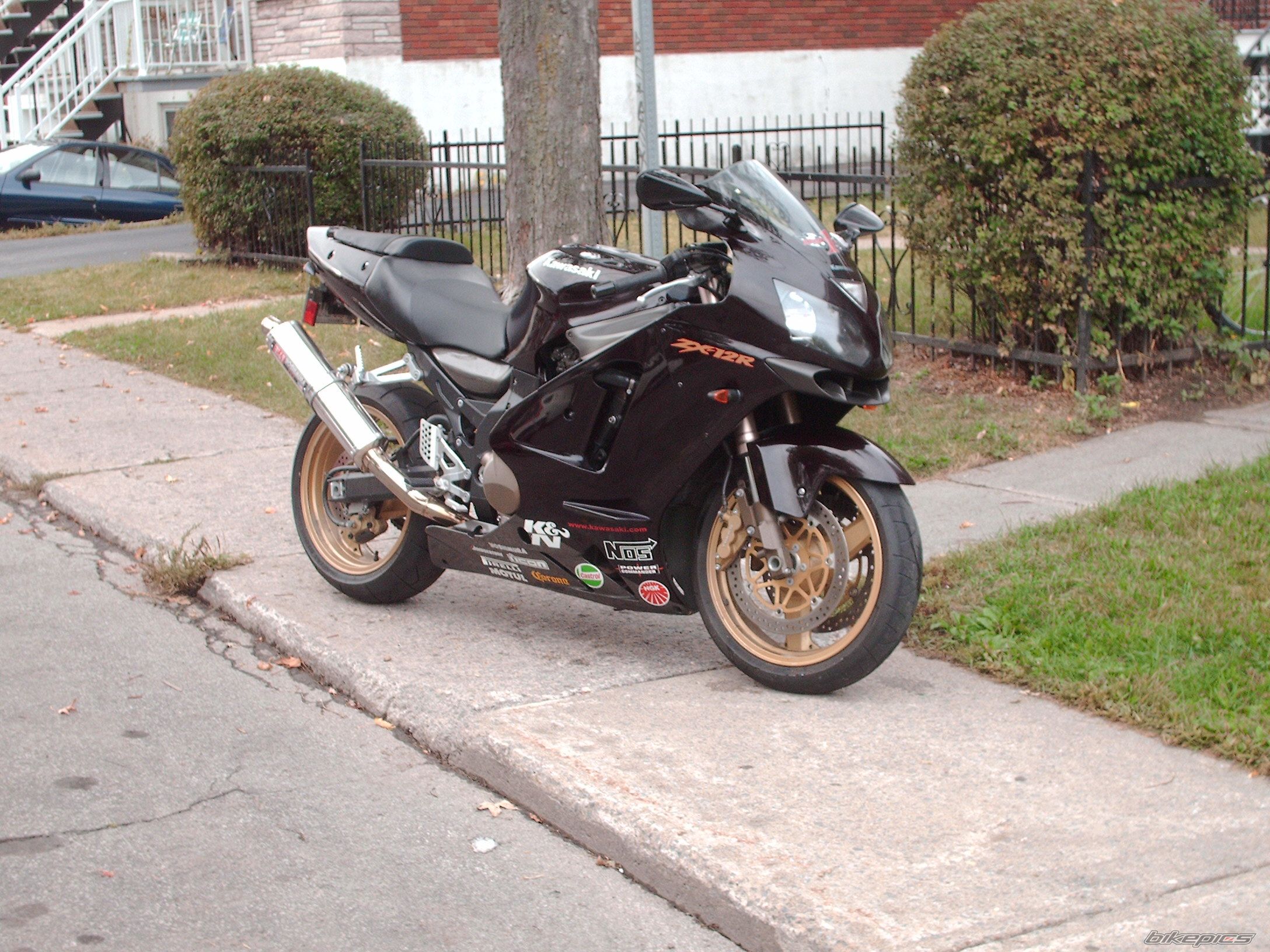 Photo 1460283