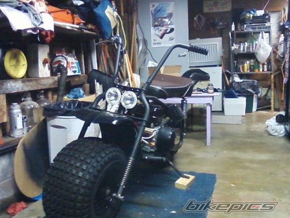 Photo 1460289