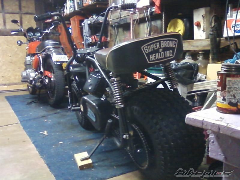 Photo 1460303