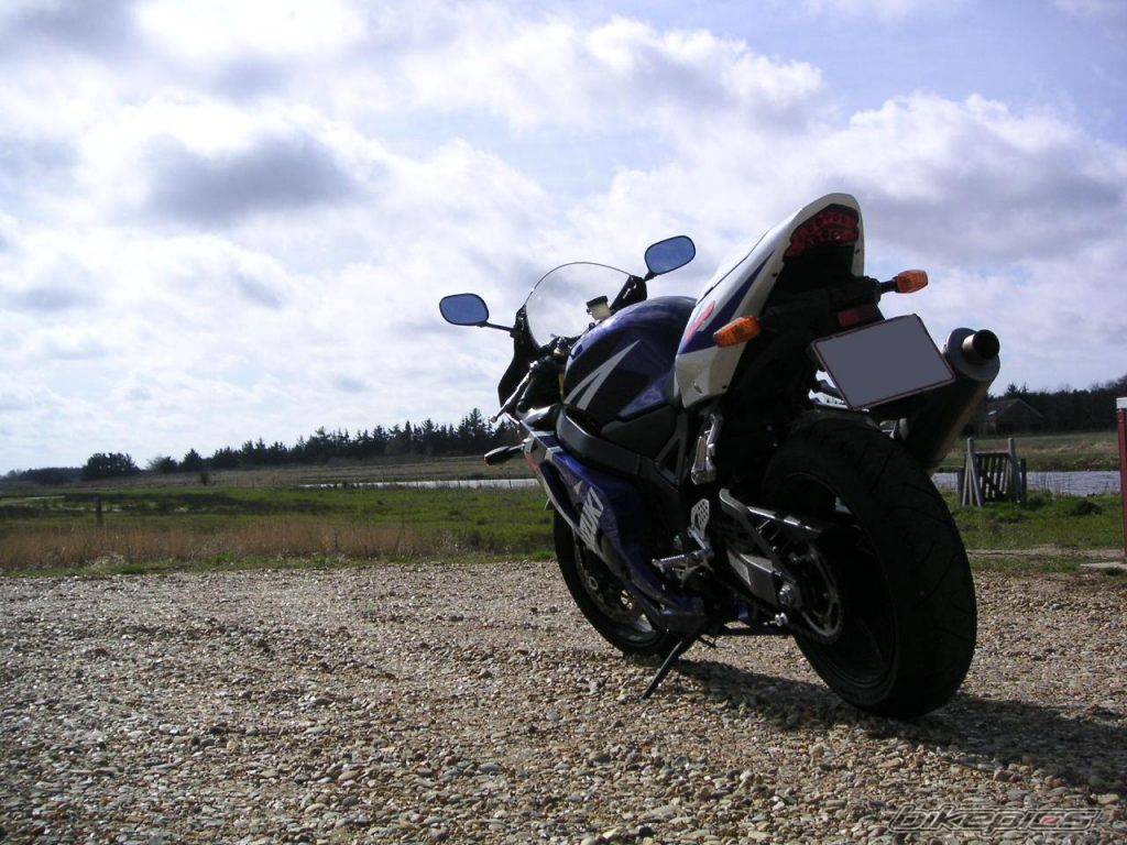 Photo 146032