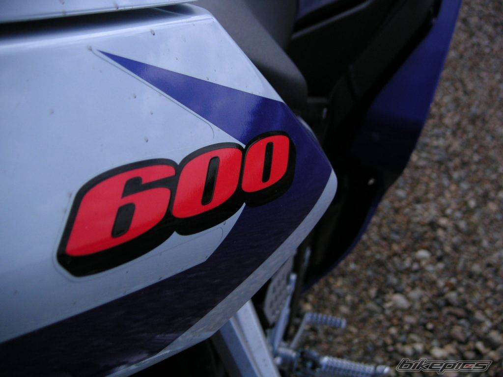Photo 146033
