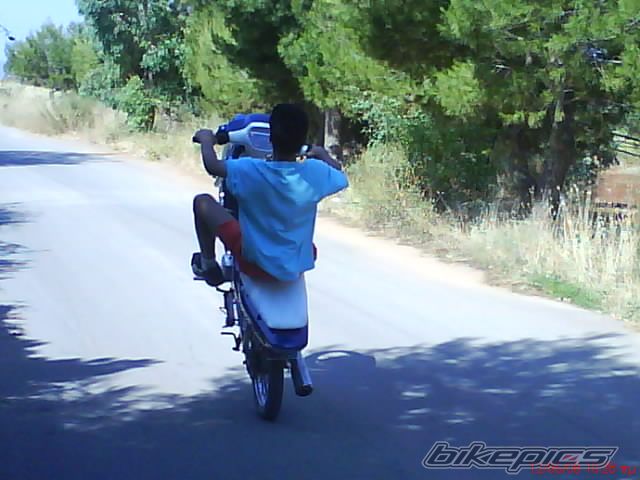 Photo 1460353
