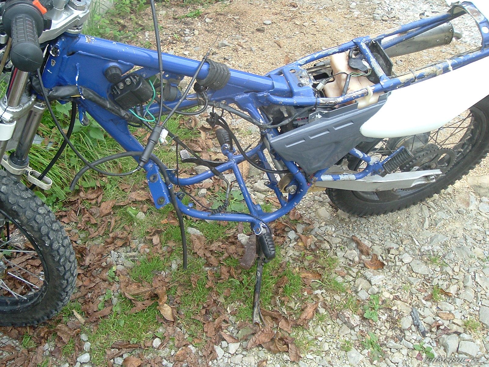 Photo 1460376