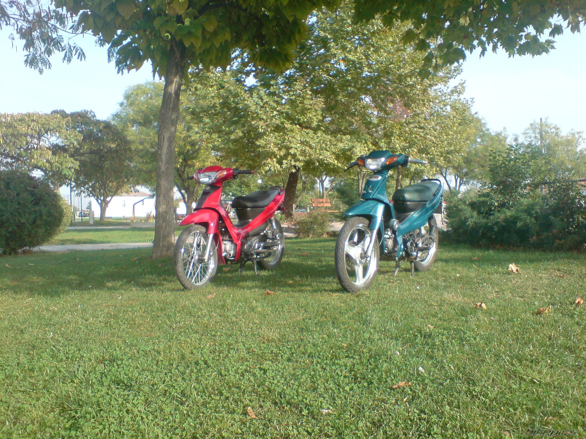 Bike Photo 1460377