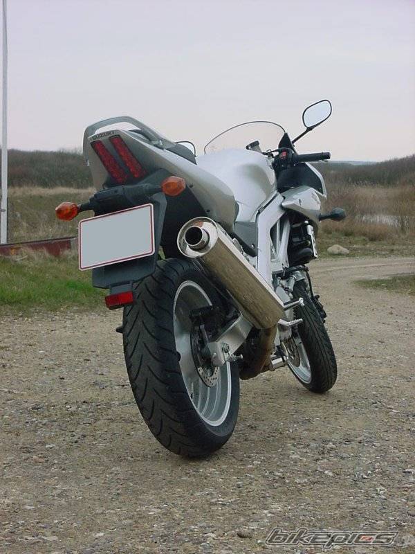 Photo 146038