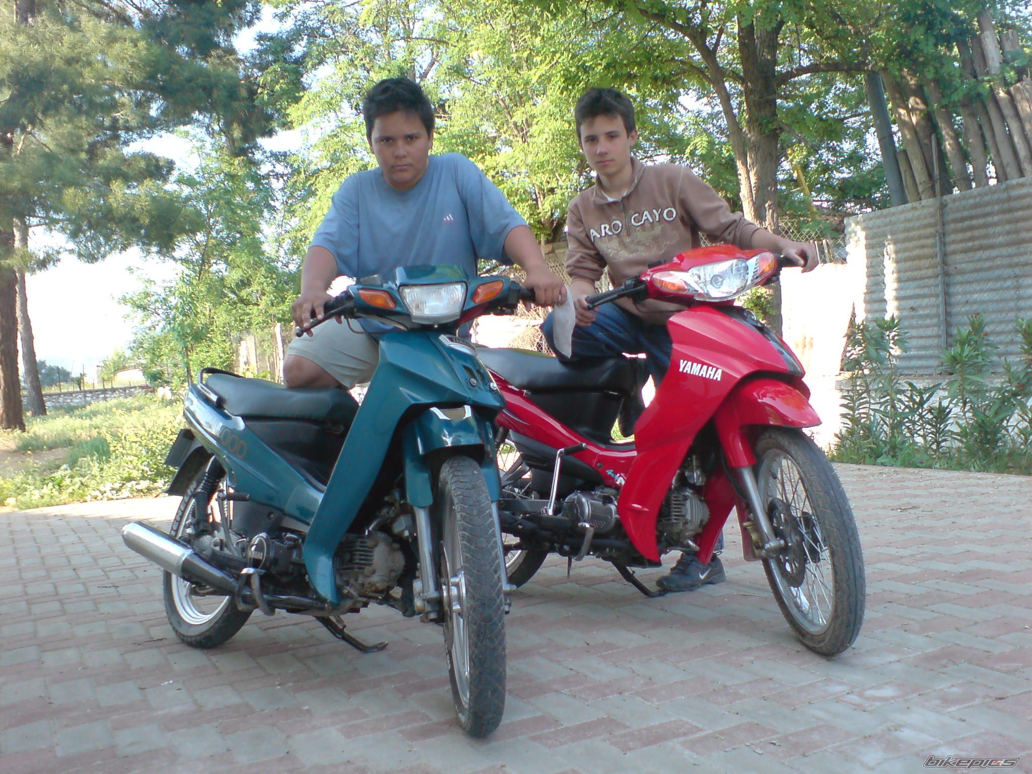 Bike Photo 1460380