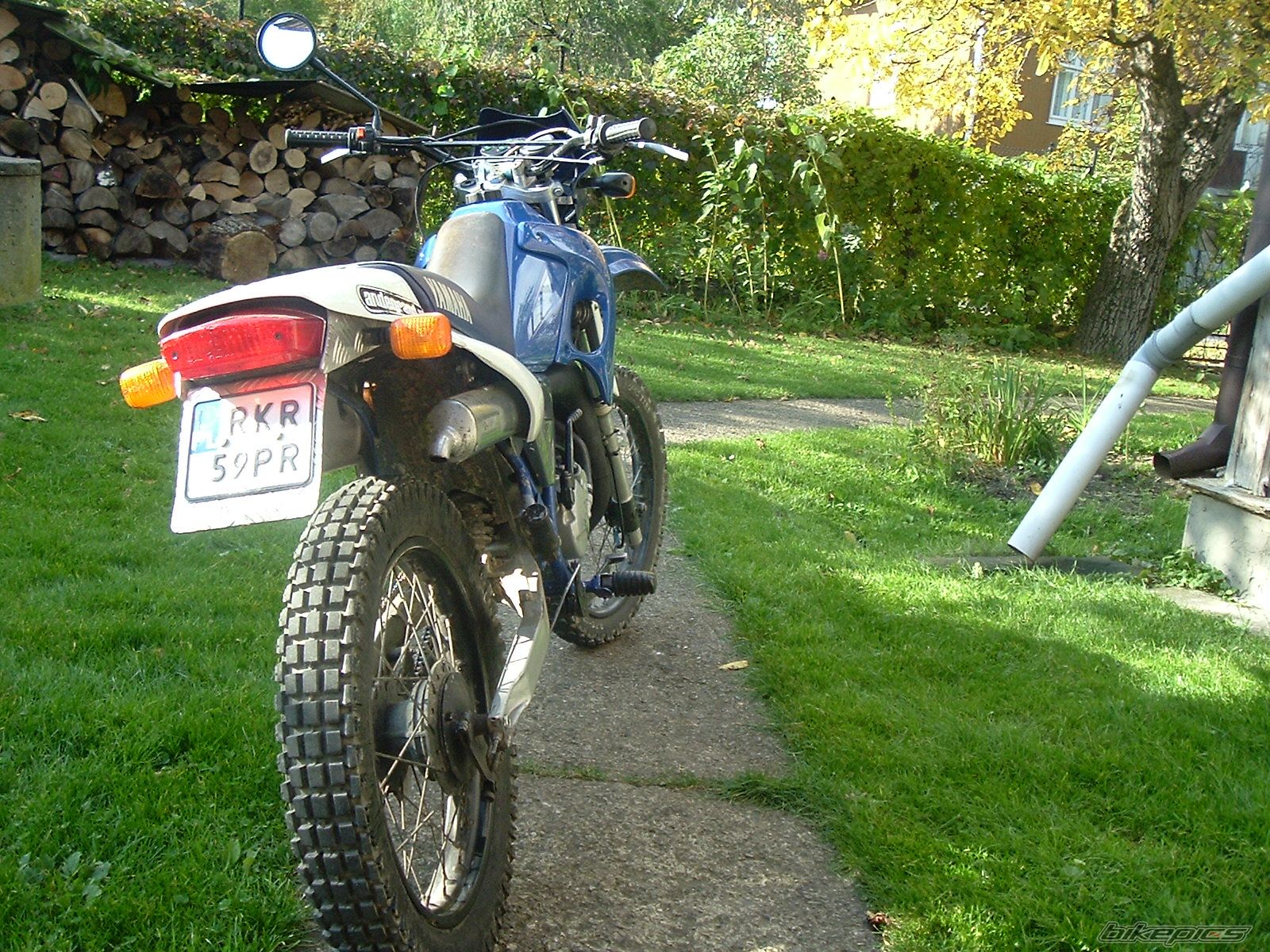 Photo 1460409