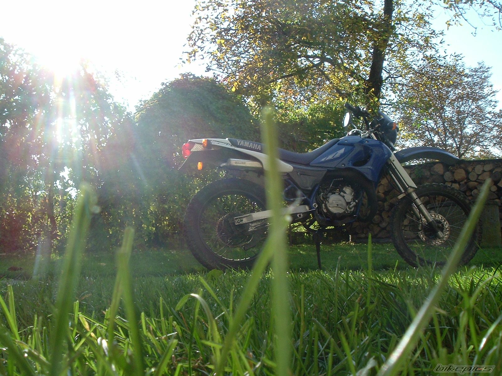 Photo 1460413