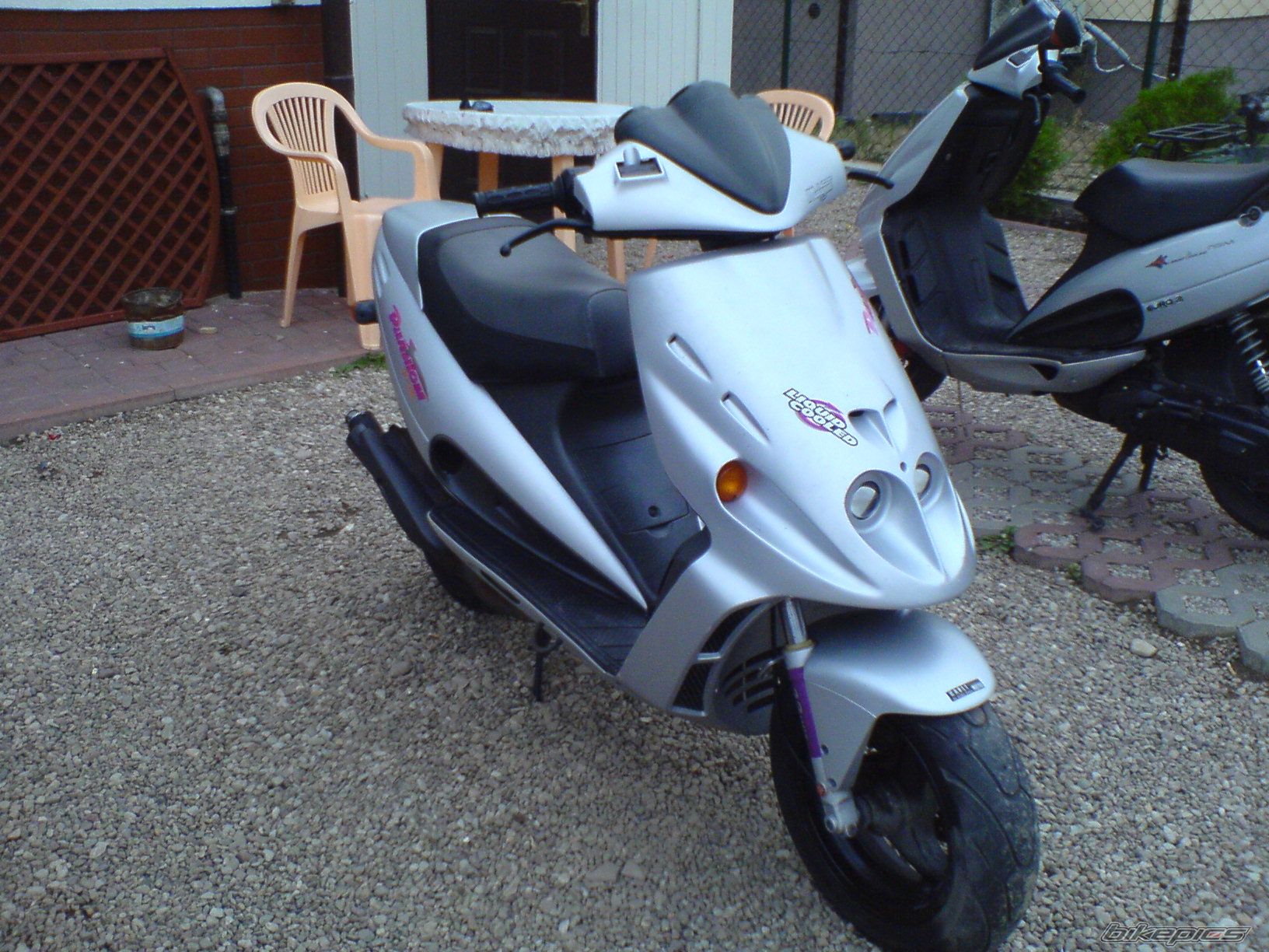 Photo 1460439
