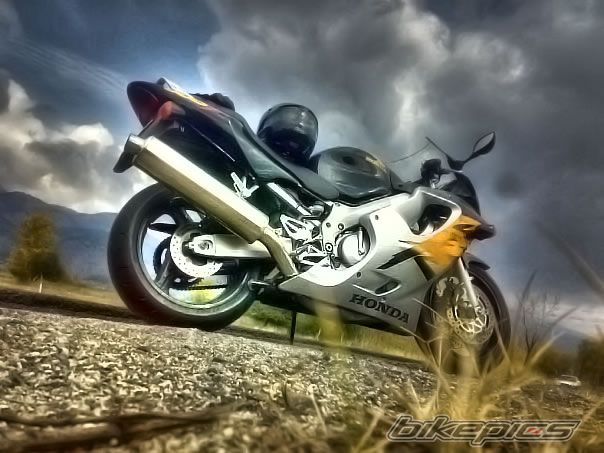 Photo 1460478