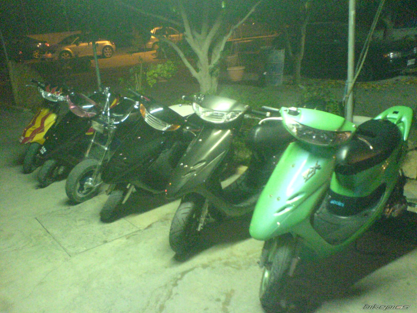 Photo 1460538