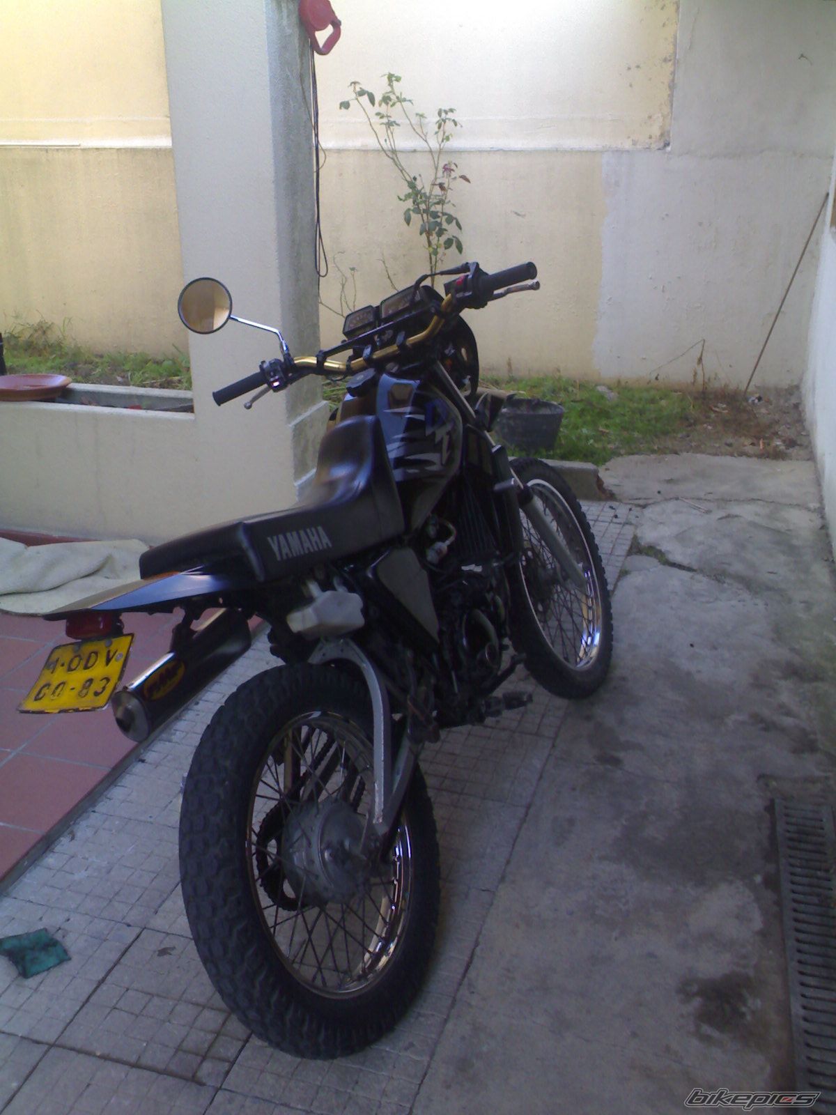 Photo 1460565