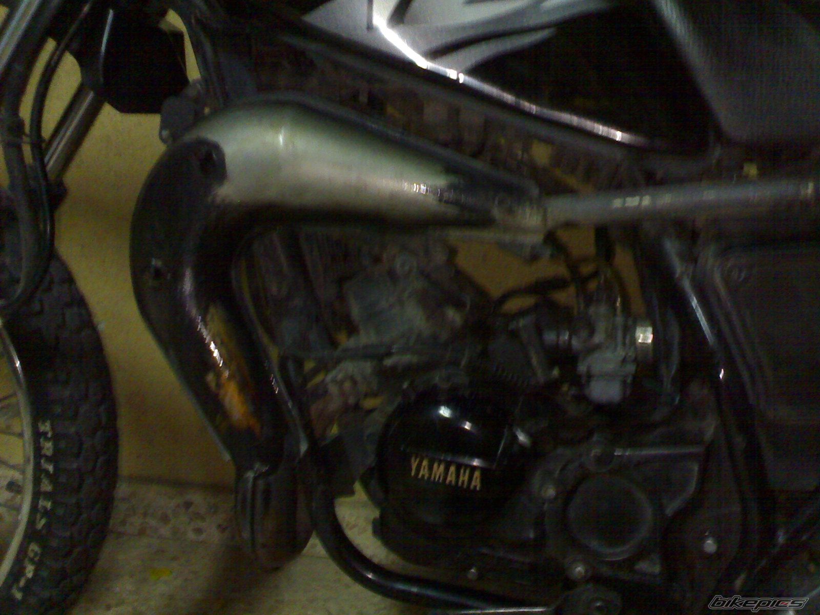 Photo 1460567