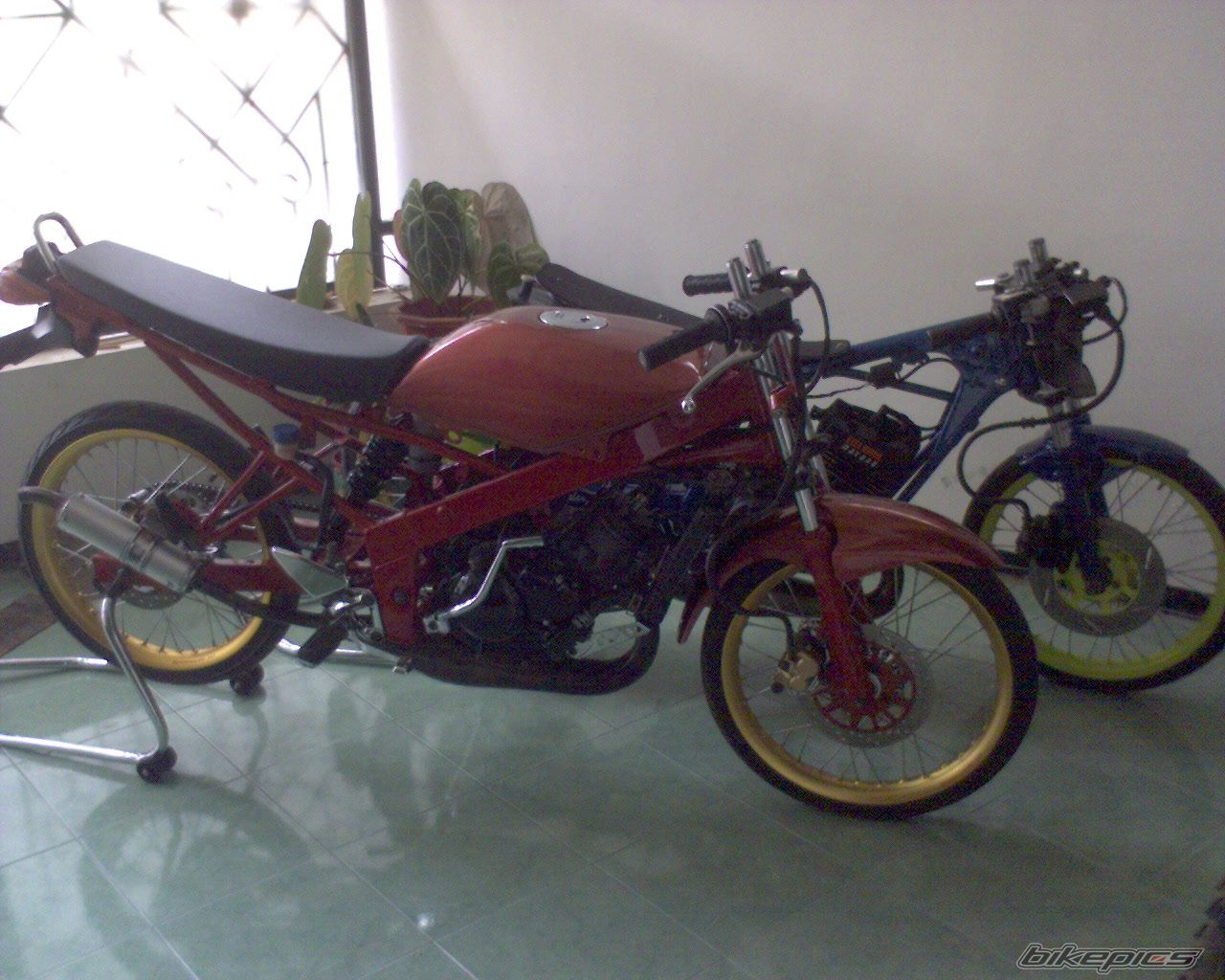 Photo 1460615