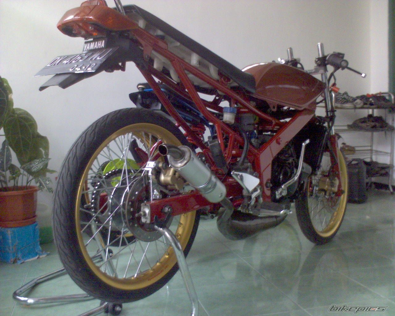 Photo 1460631