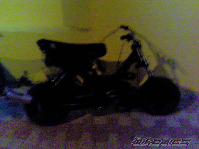 Photo 1460695