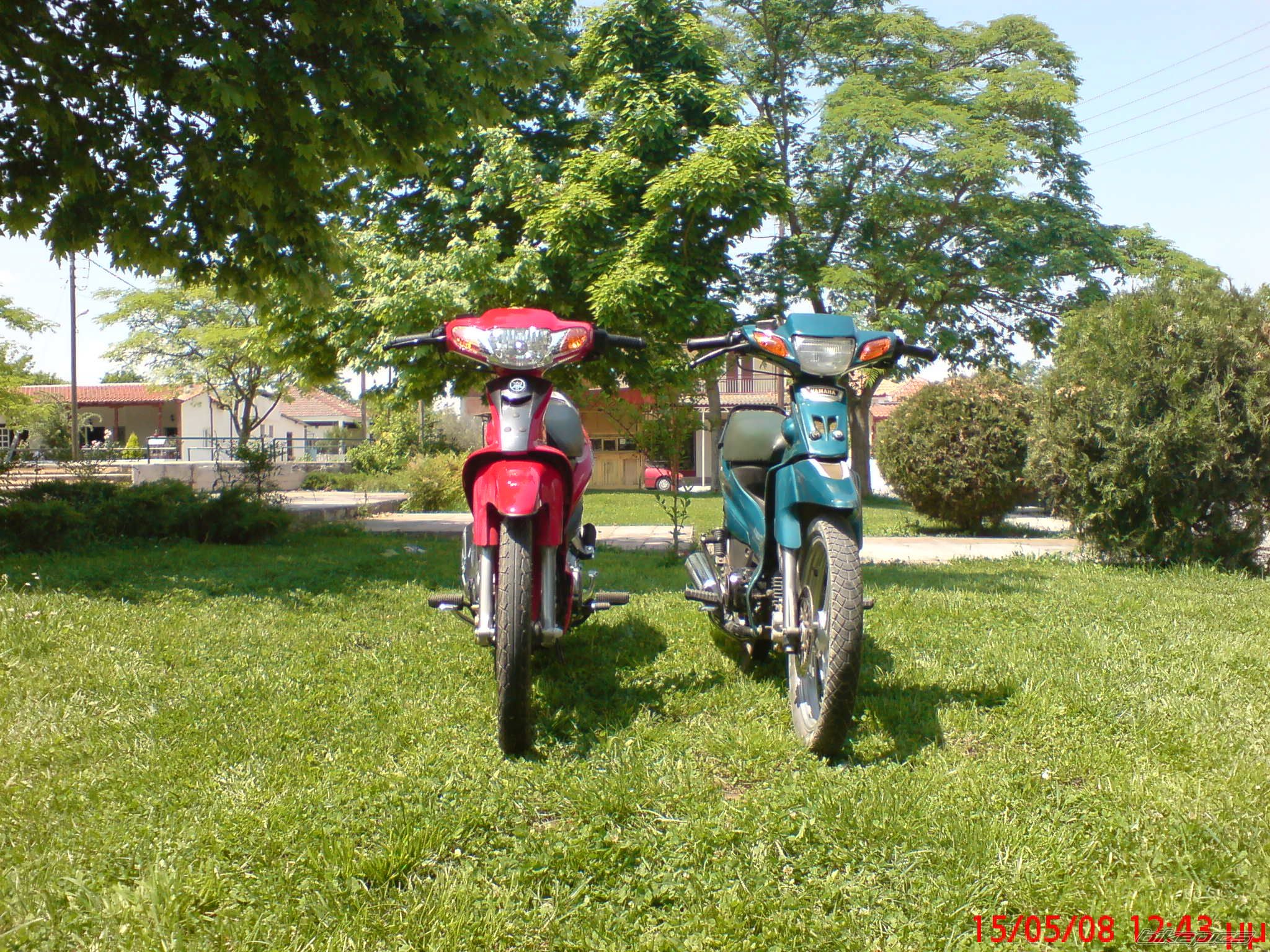 Photo 1460707