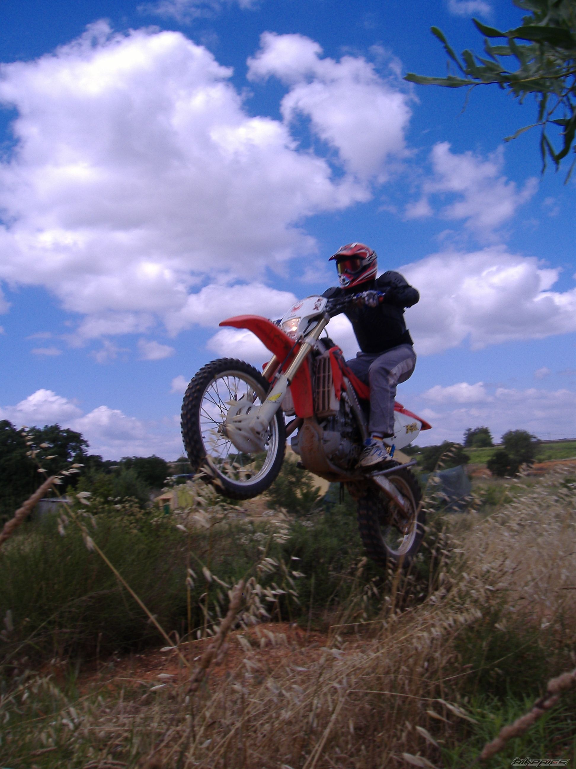 Photo 1460758