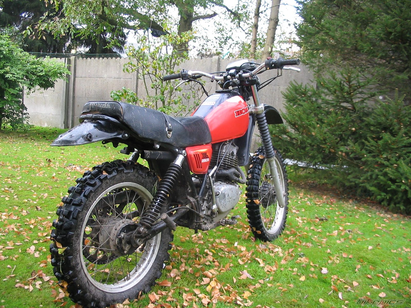 Bike Photo 1460782