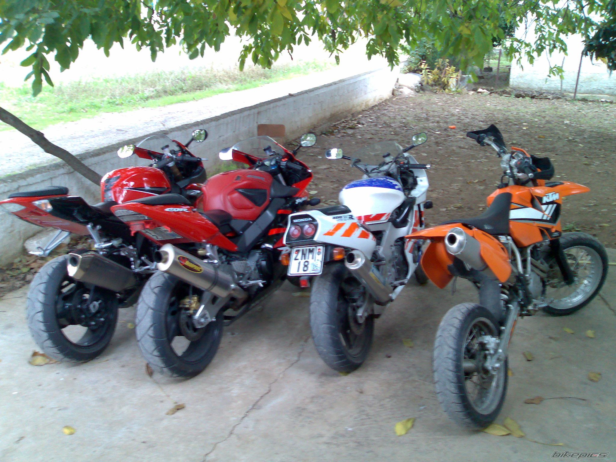 Photo 1460808
