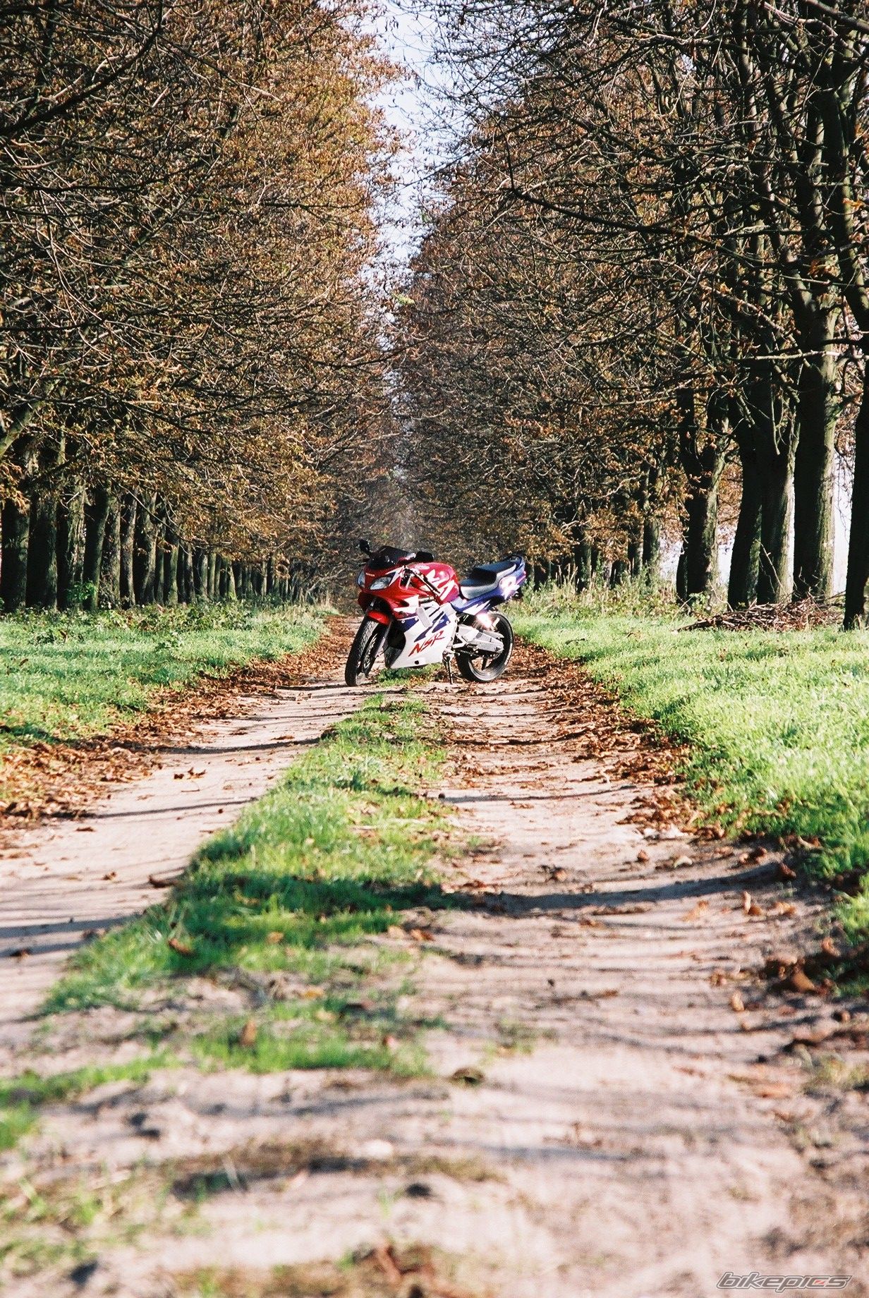 Bike Photo 1460811
