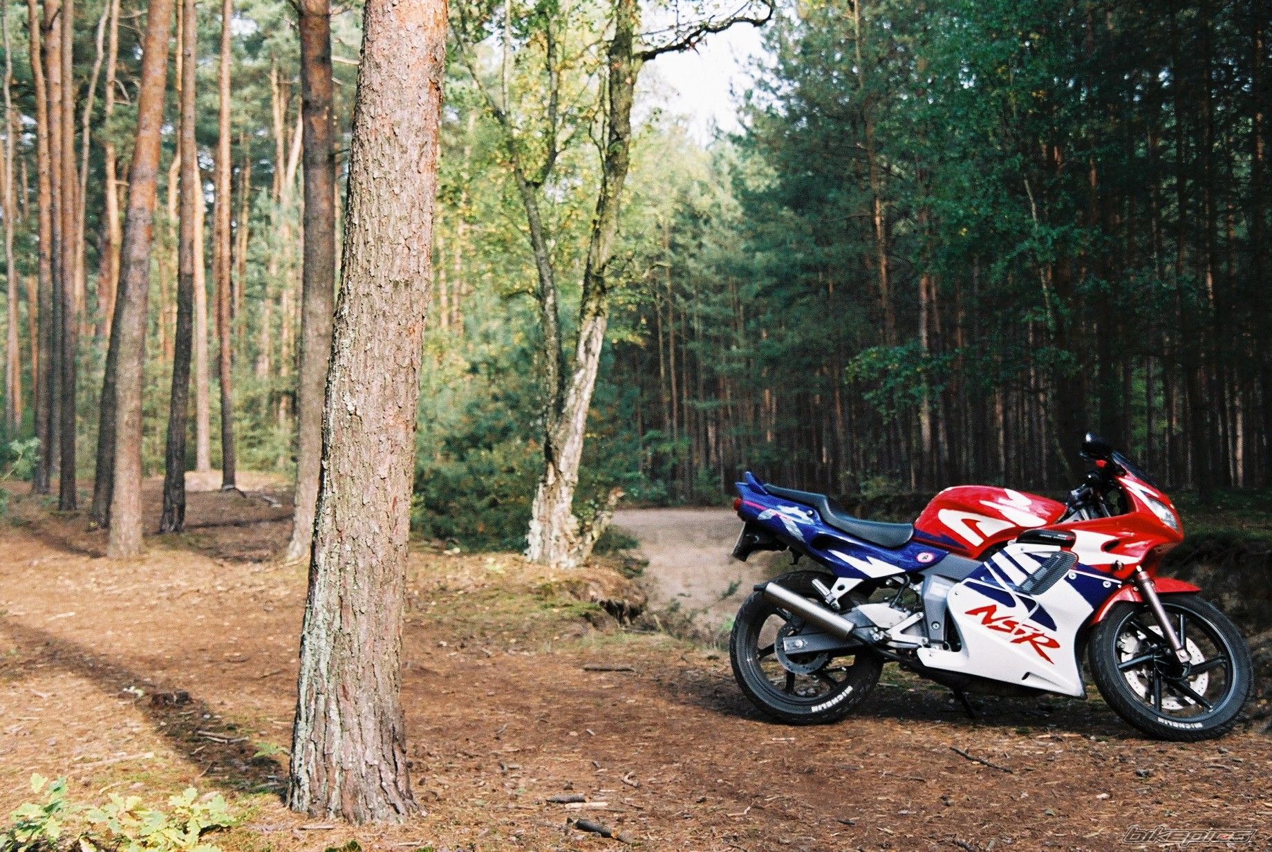 Bike Photo 1460838