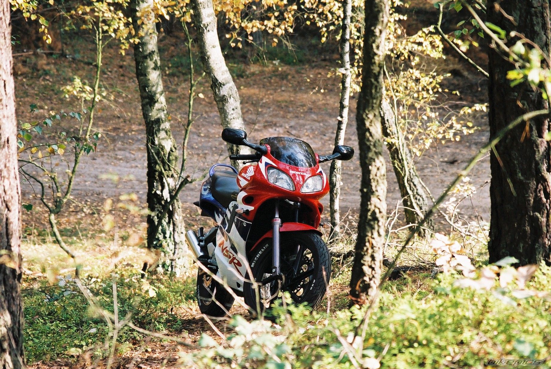 Bike Photo 1460842