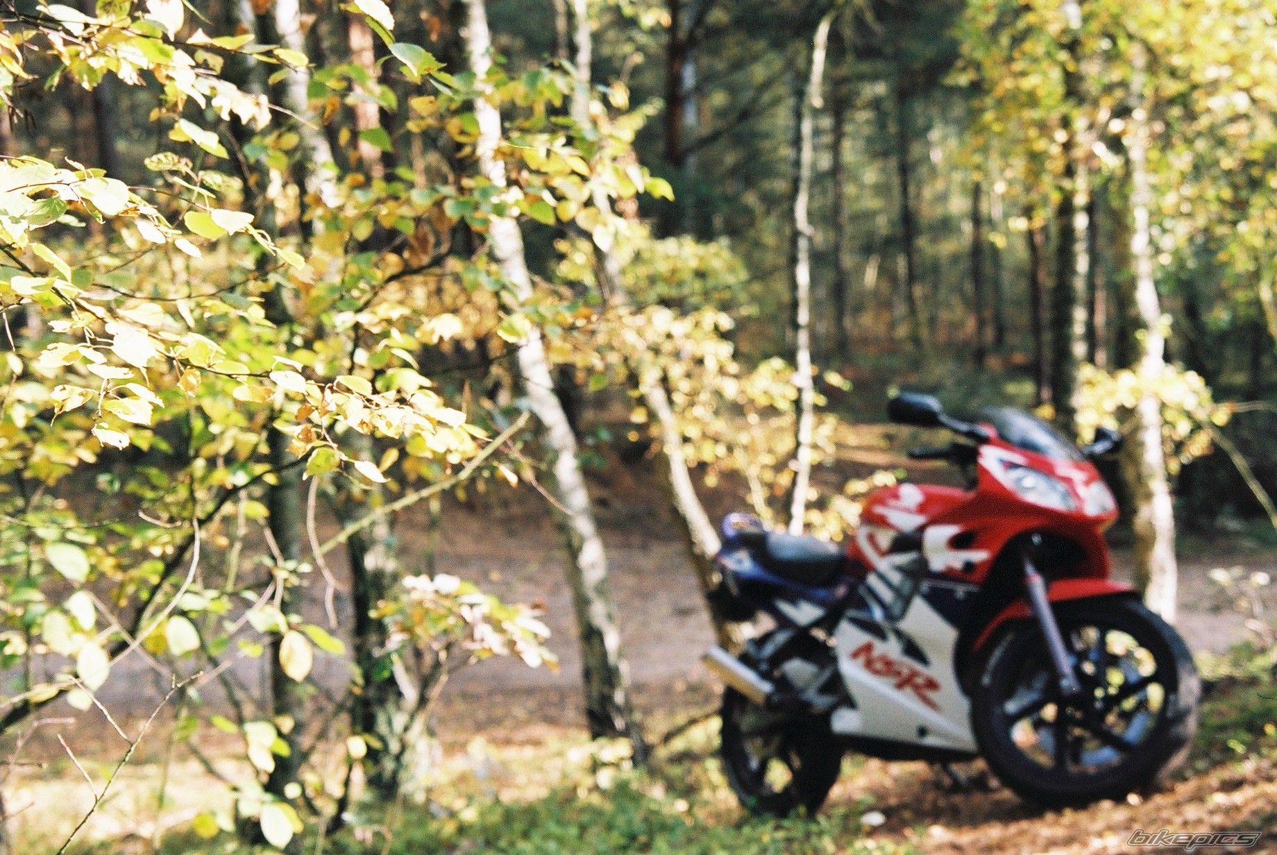 Bike Photo 1460847
