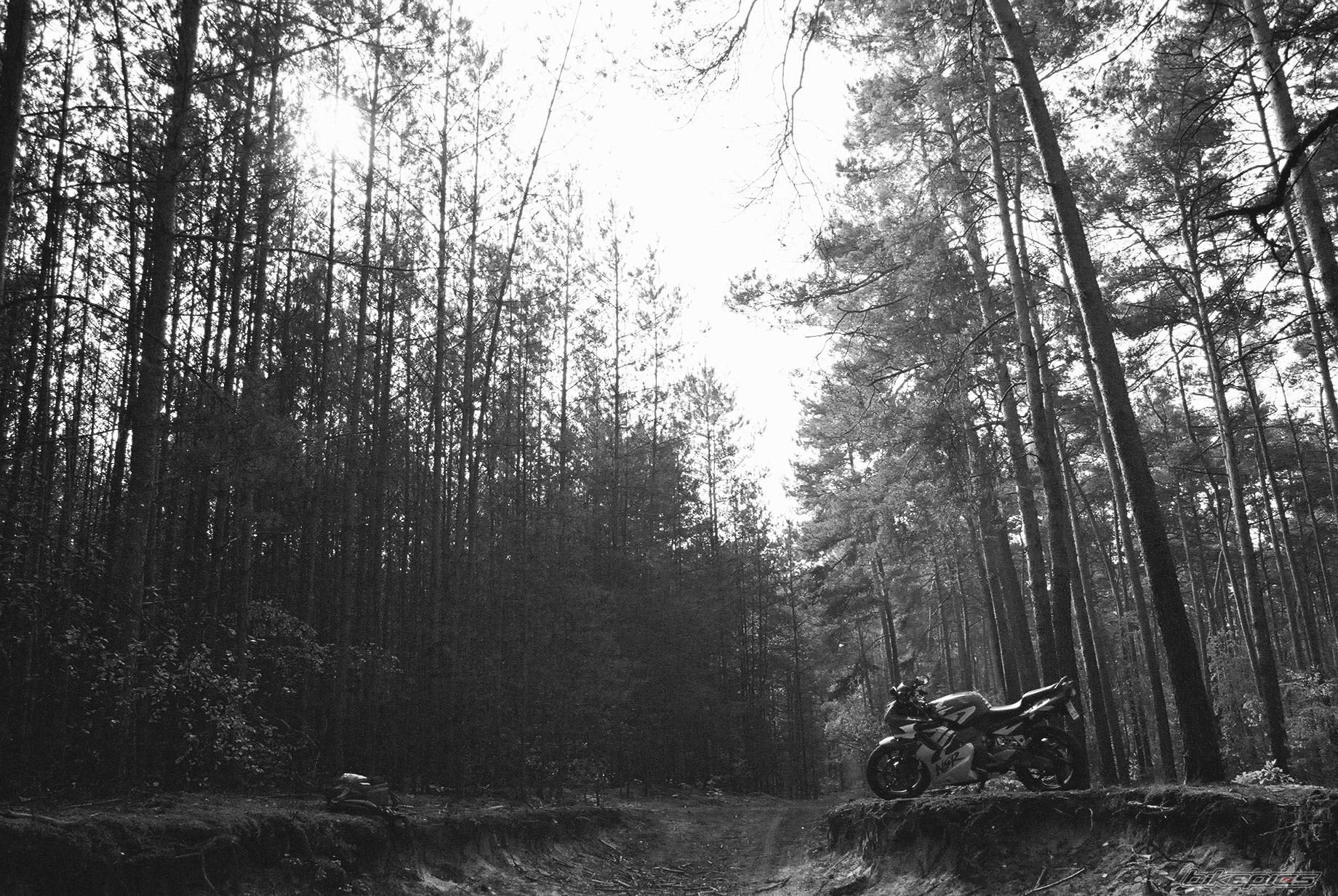 Bike Photo 1460866
