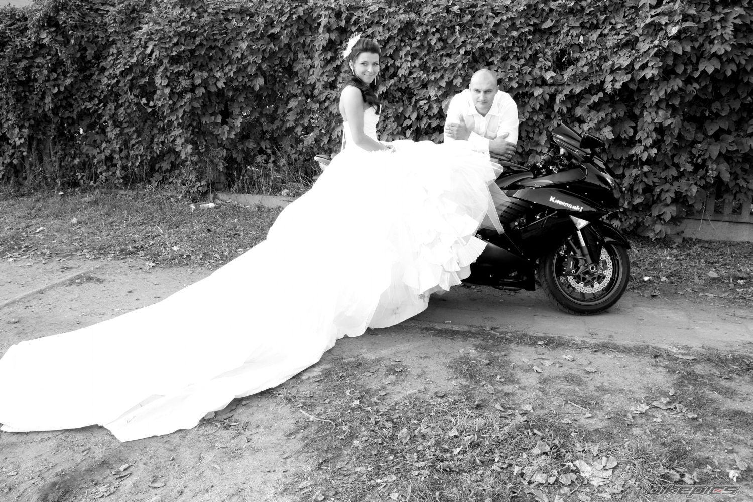 Photo 1460876