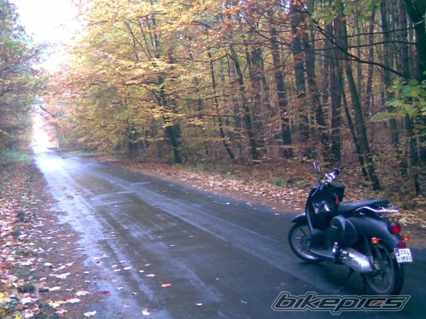 Bike Photo 1460924