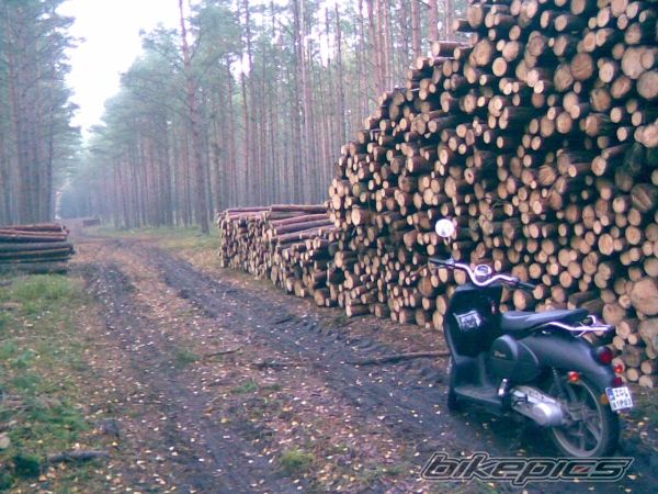 Bike Photo 1460926