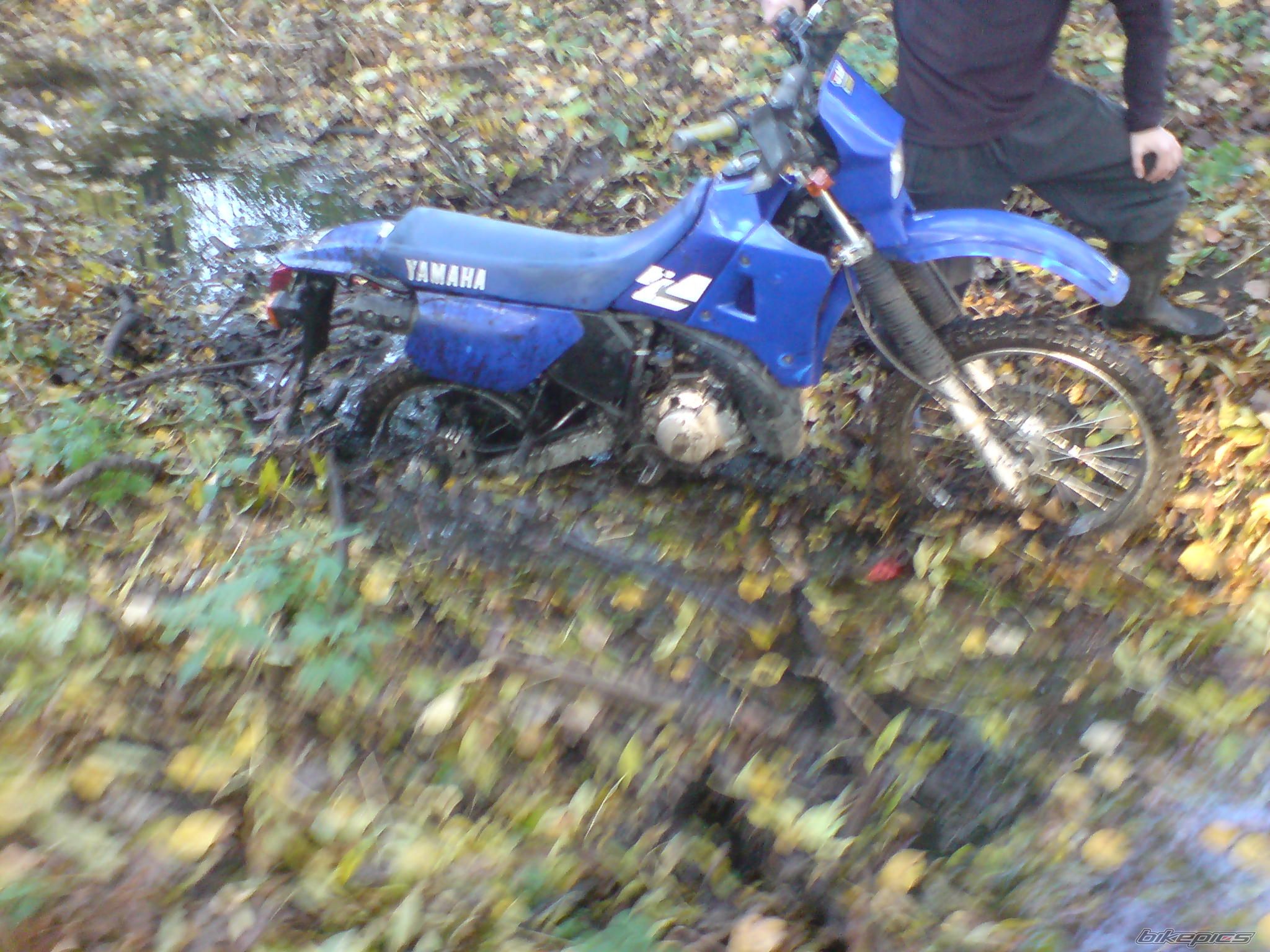 Photo 1460933