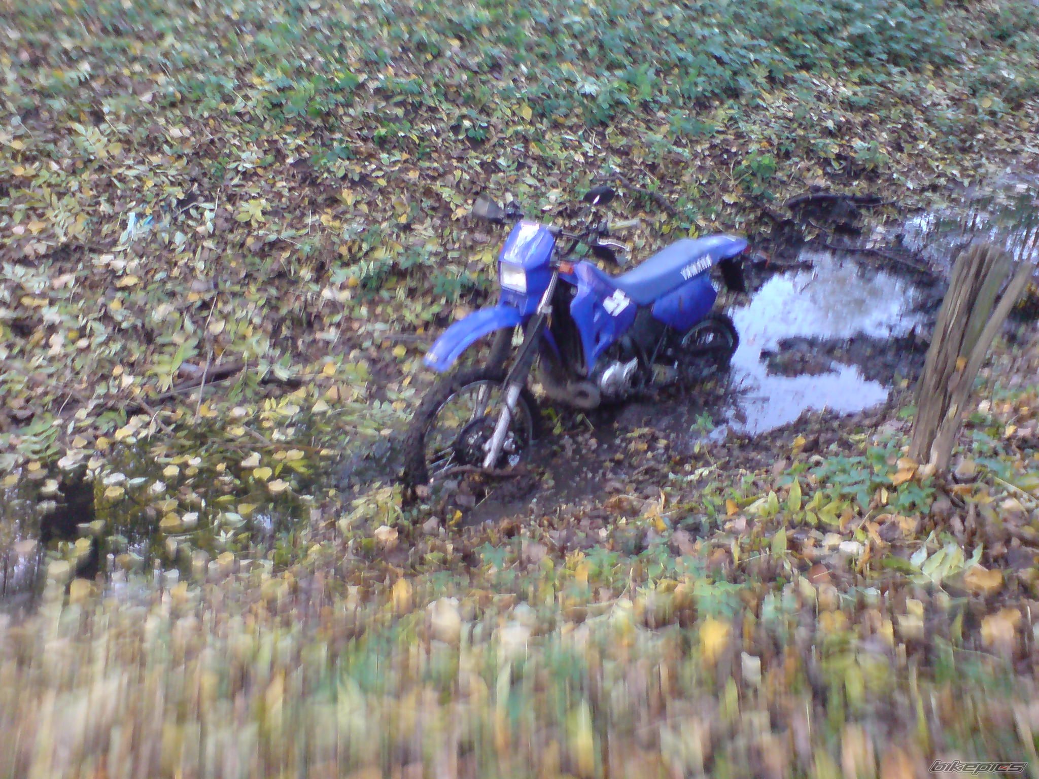 Bike Photo 1460934