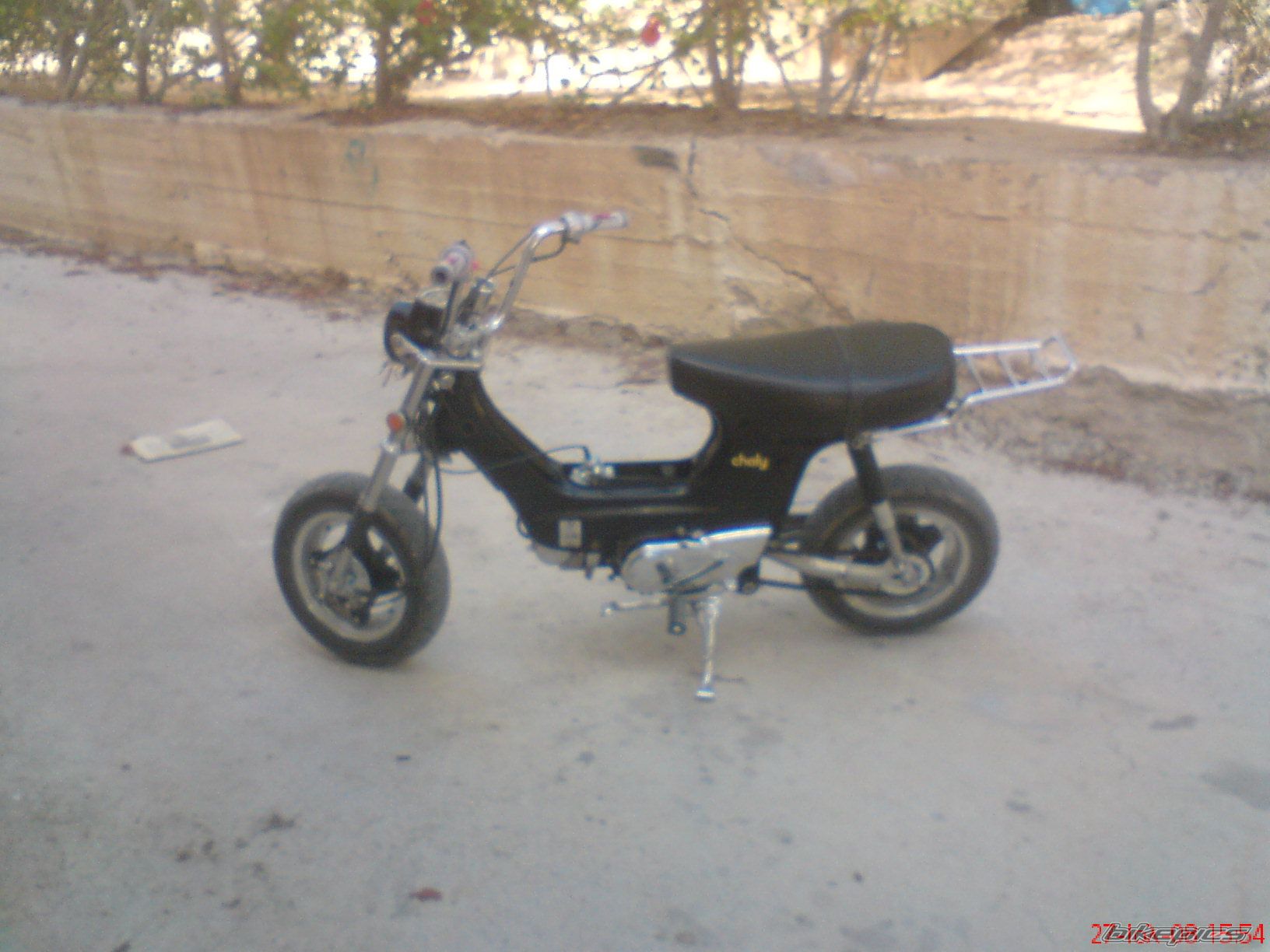 Photo 1460947