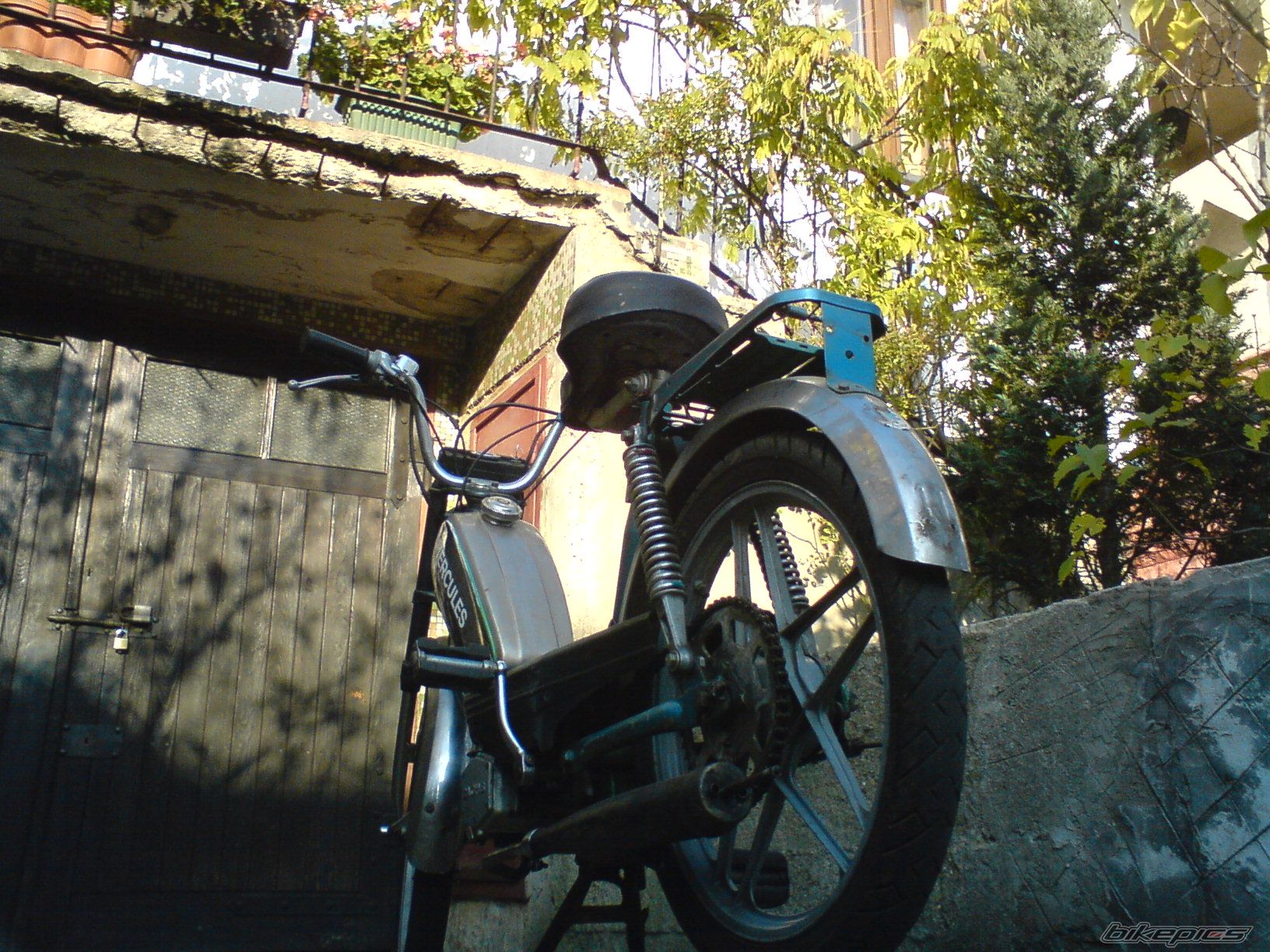 Photo 1461027