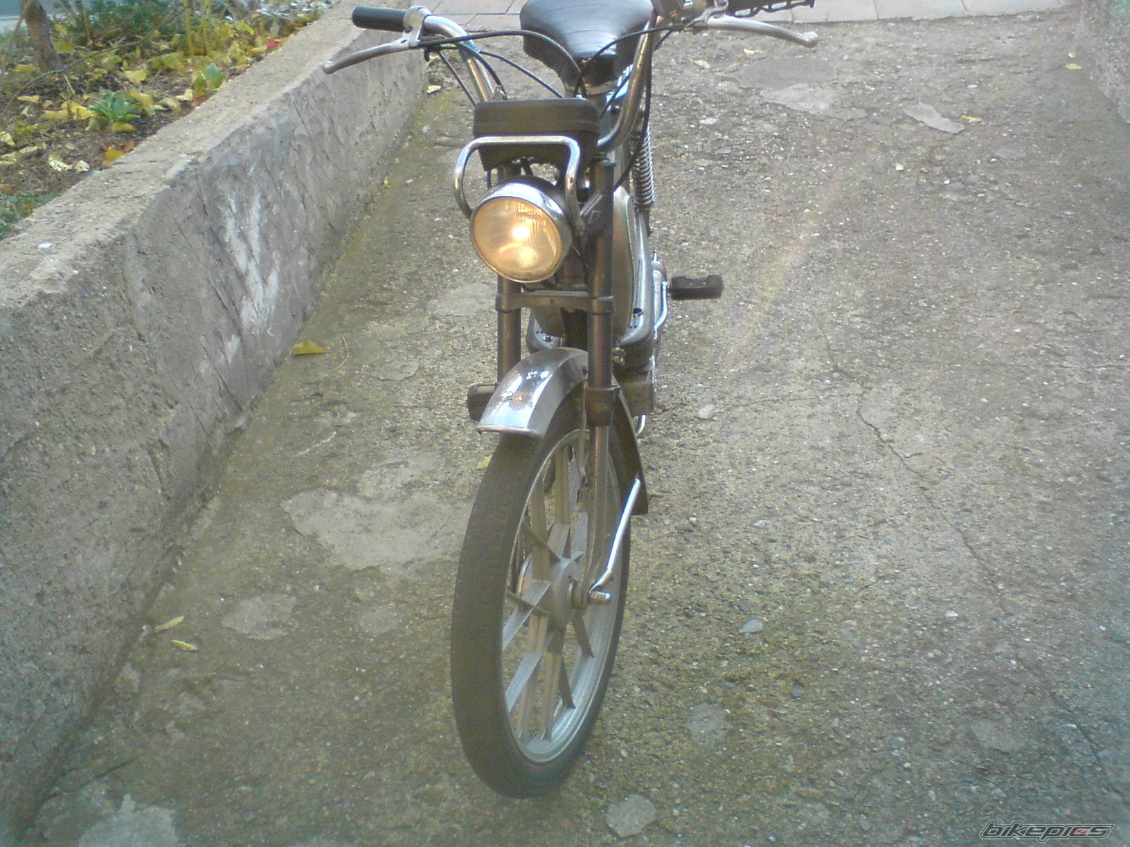 Photo 1461029