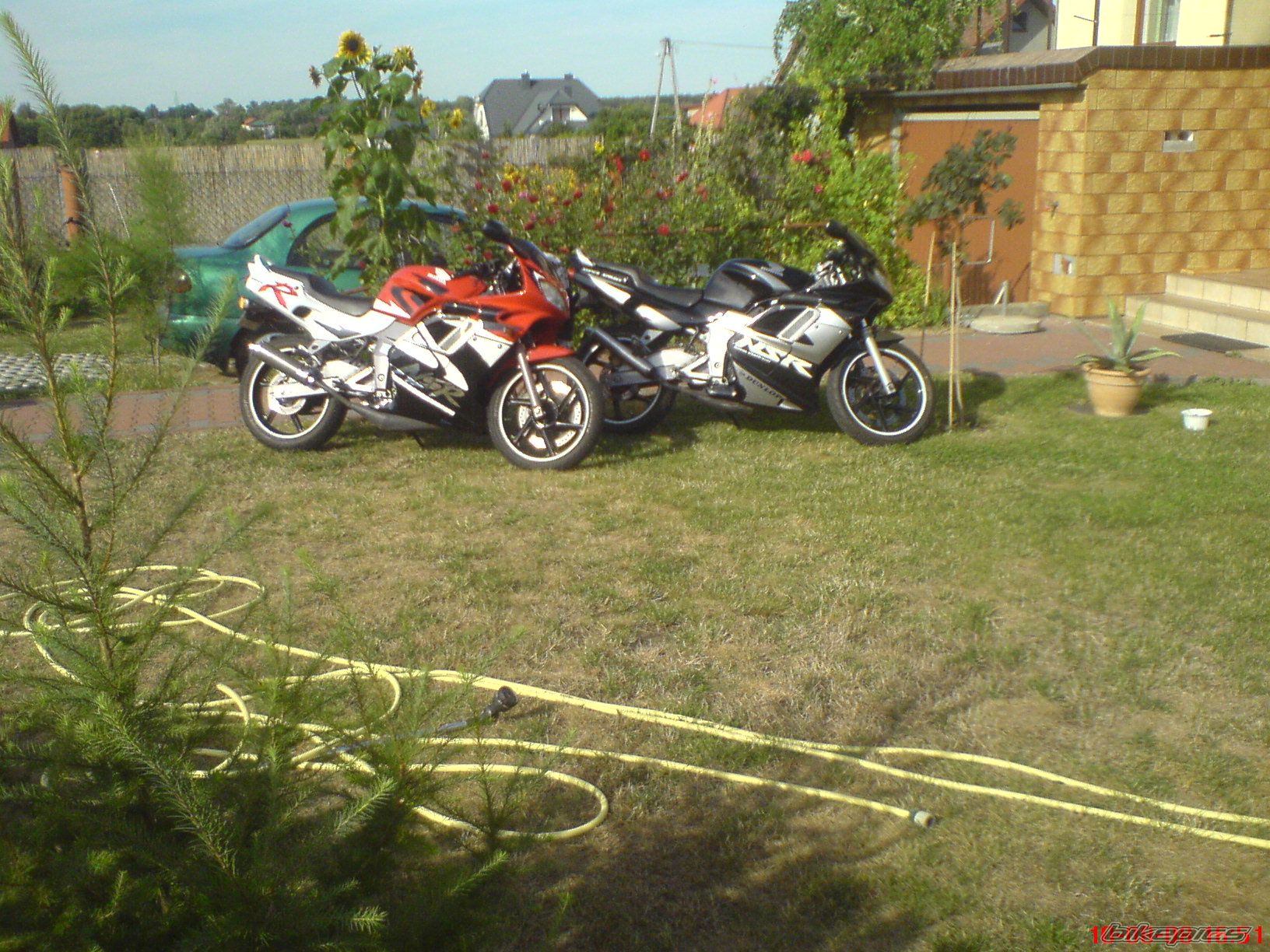 Photo 1461082