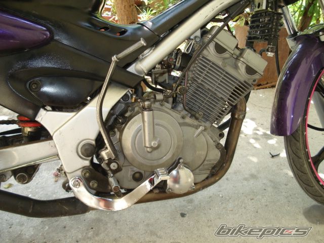 Photo 1461165