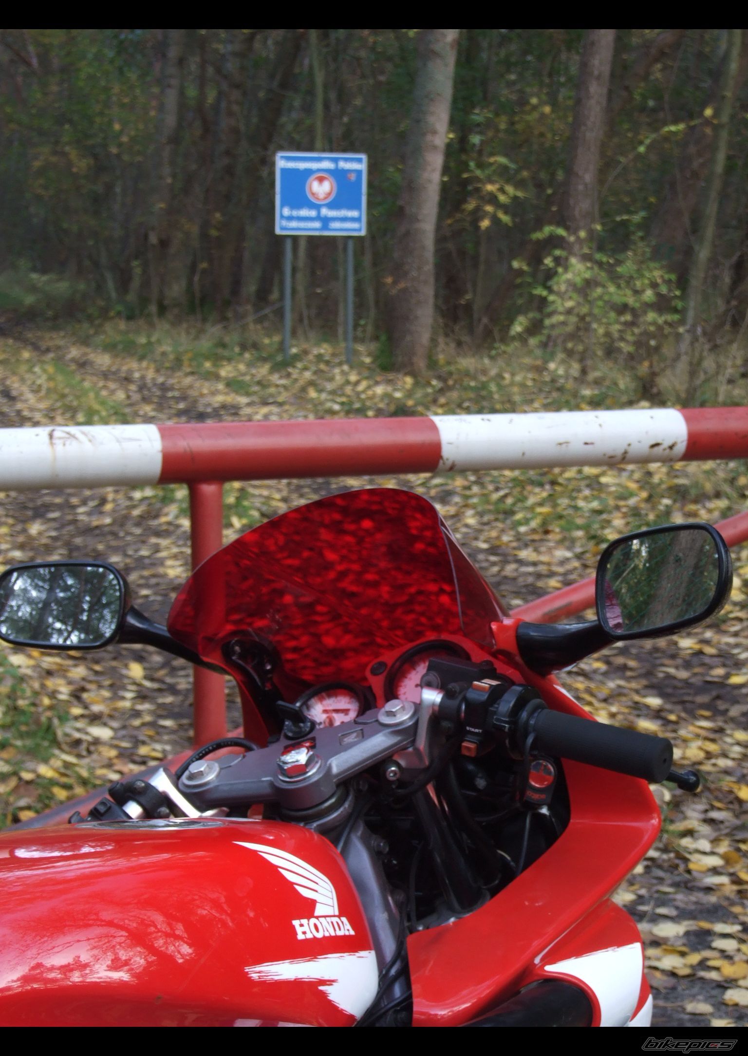 Photo 1461232