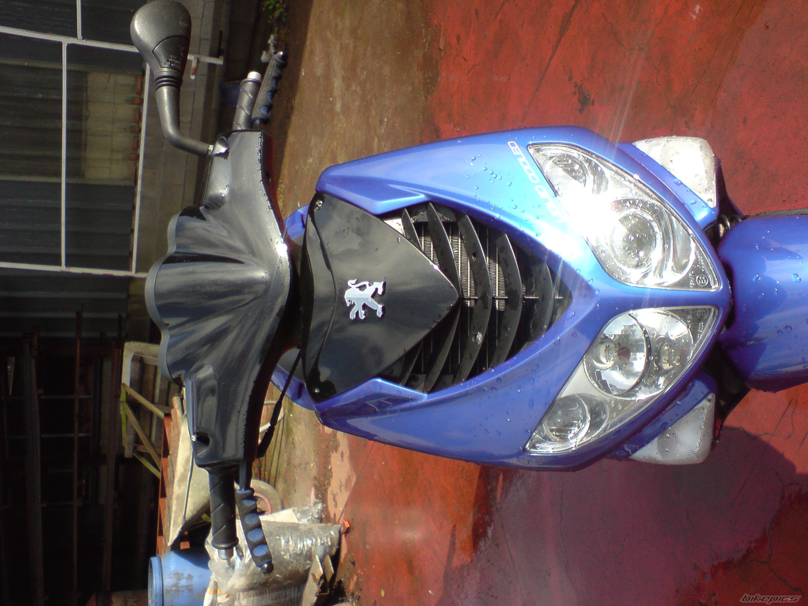 Photo 1461234