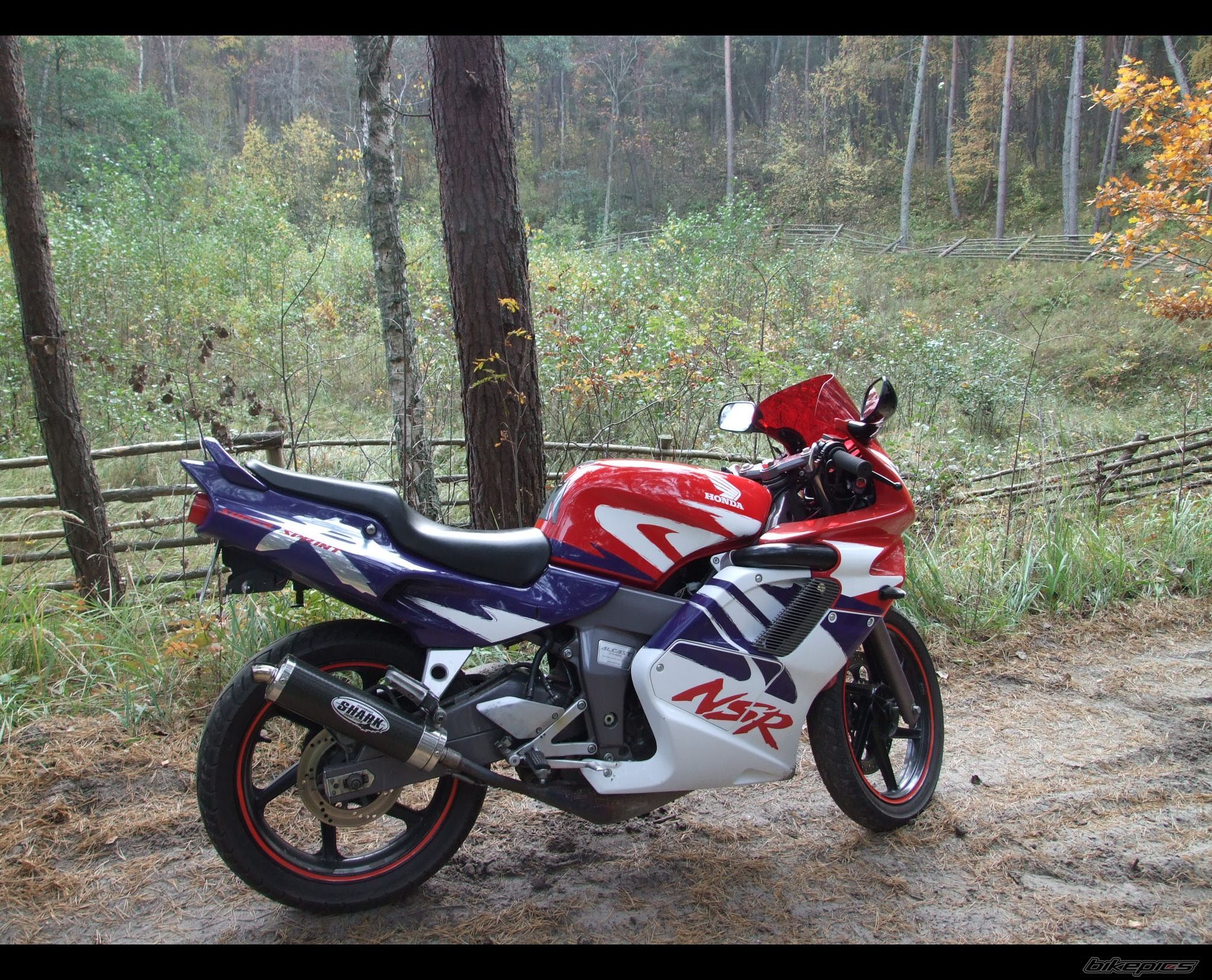 Photo 1461237