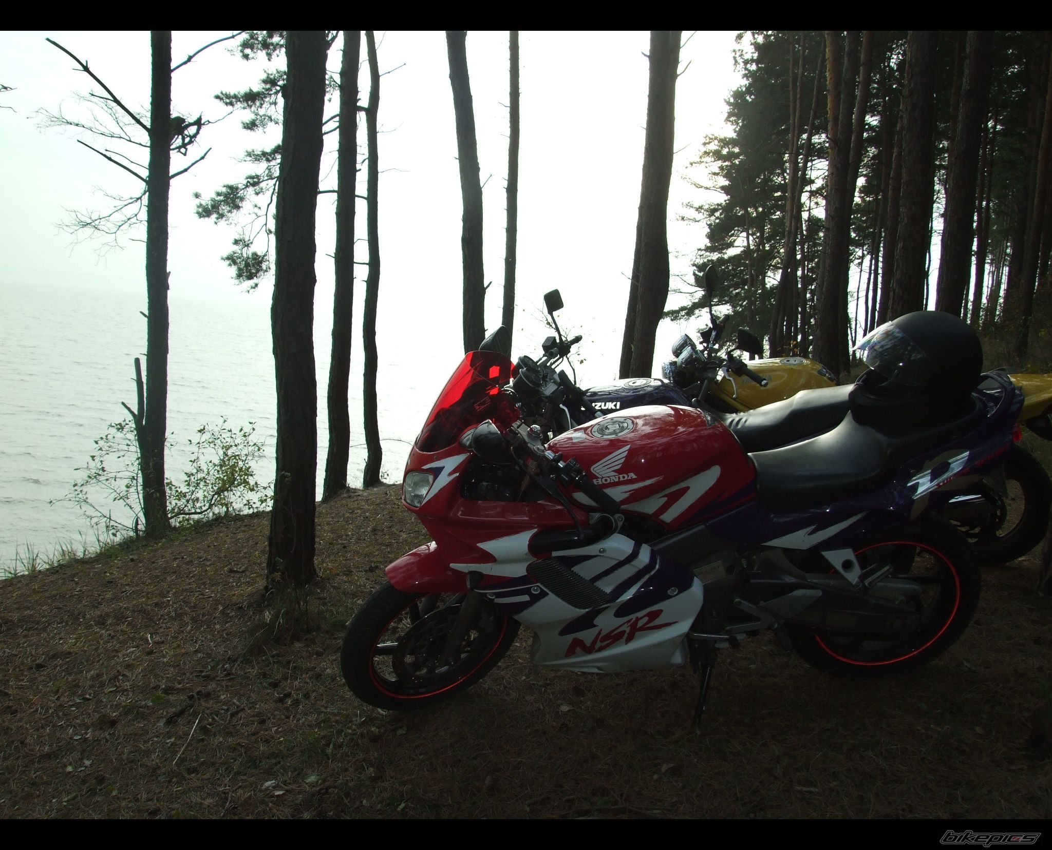 Photo 1461244