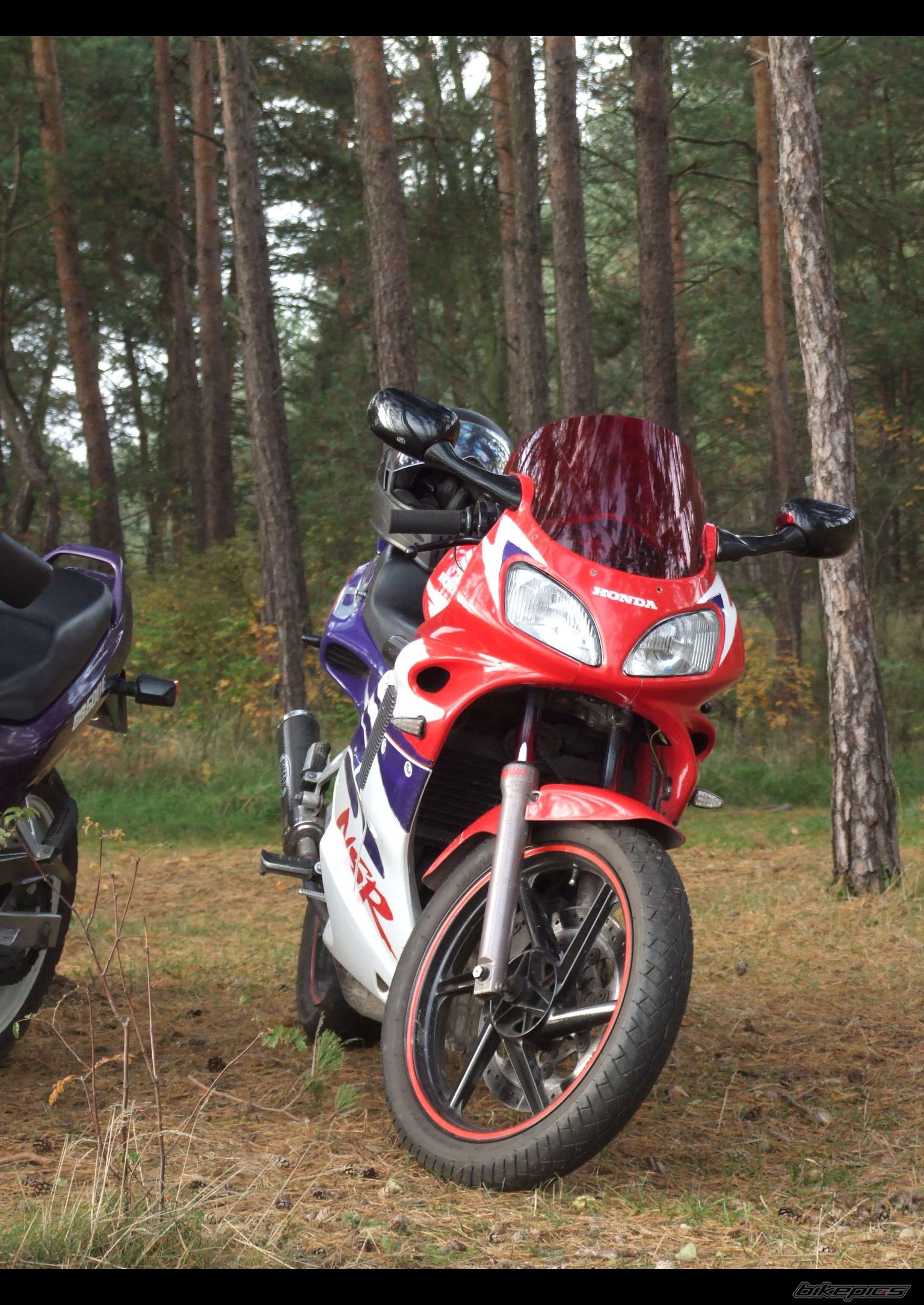 Photo 1461246