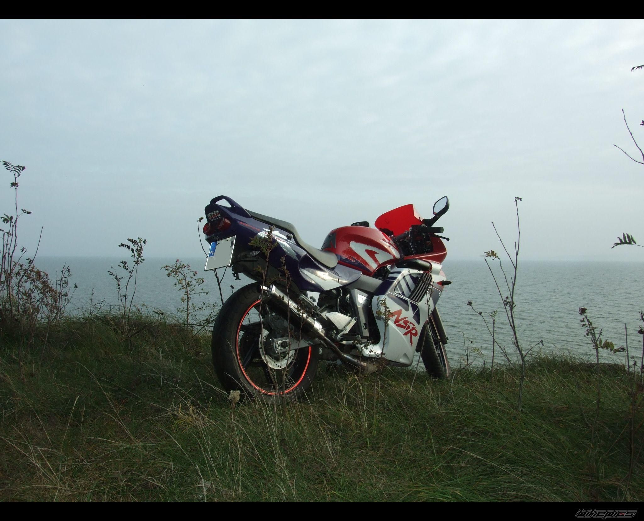Photo 1461247