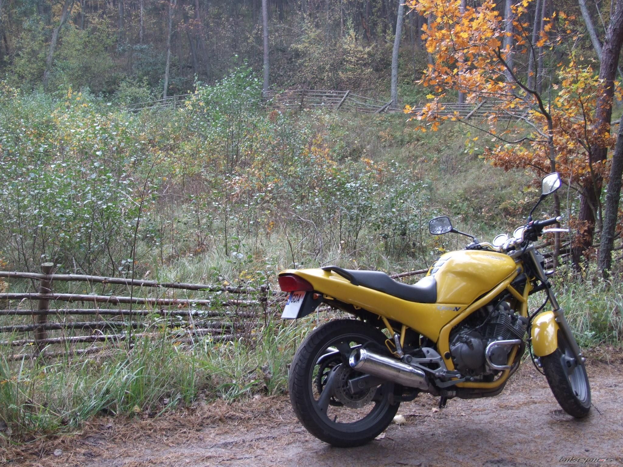 Photo 1461248