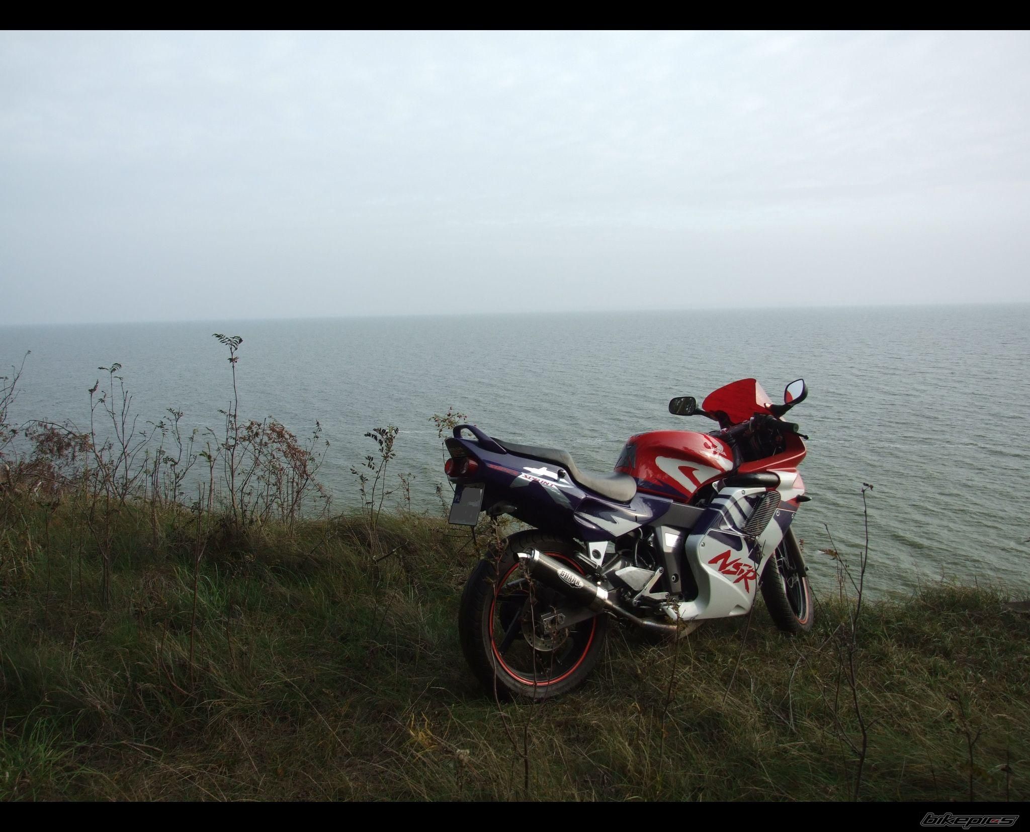 Photo 1461249
