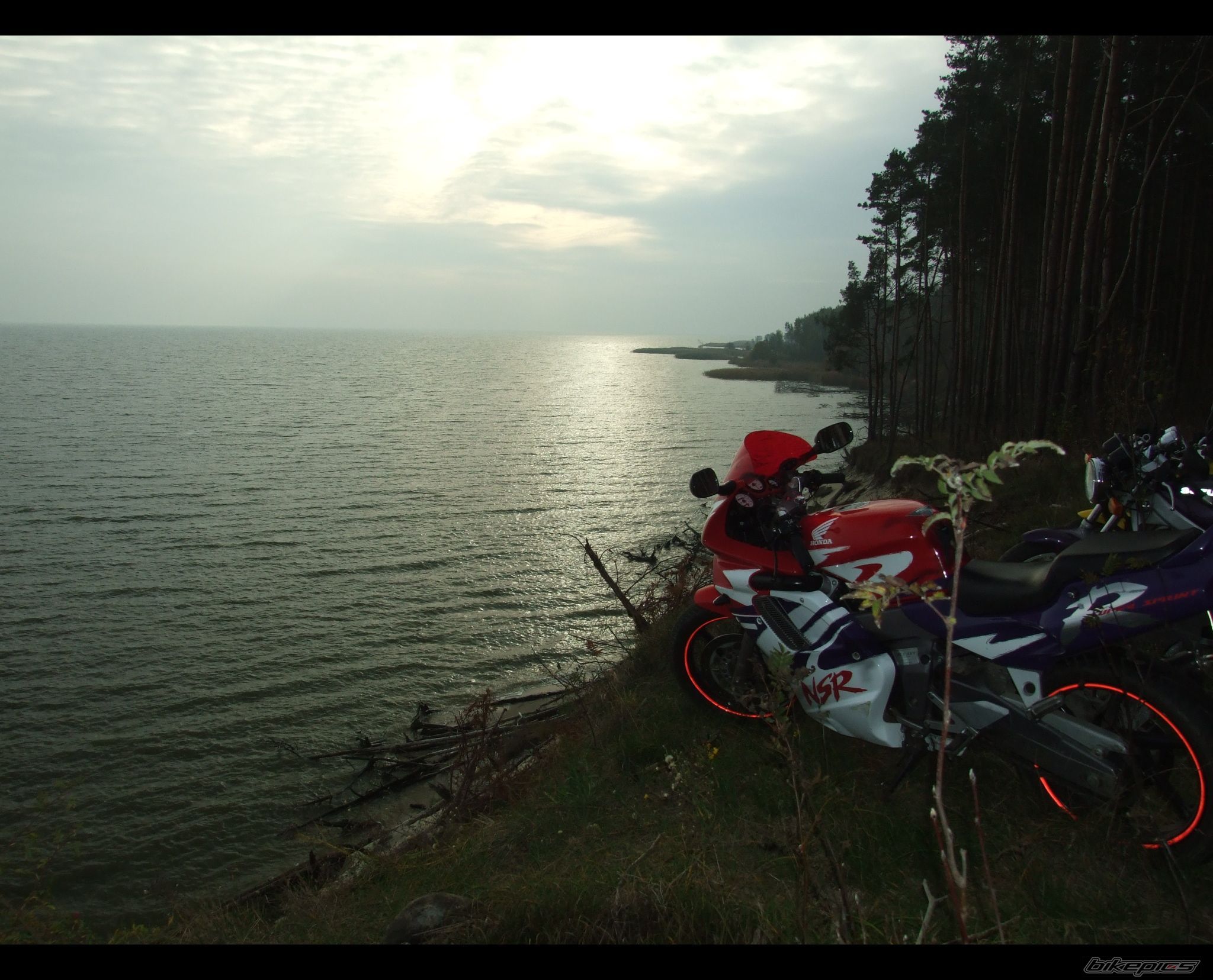 Photo 1461250