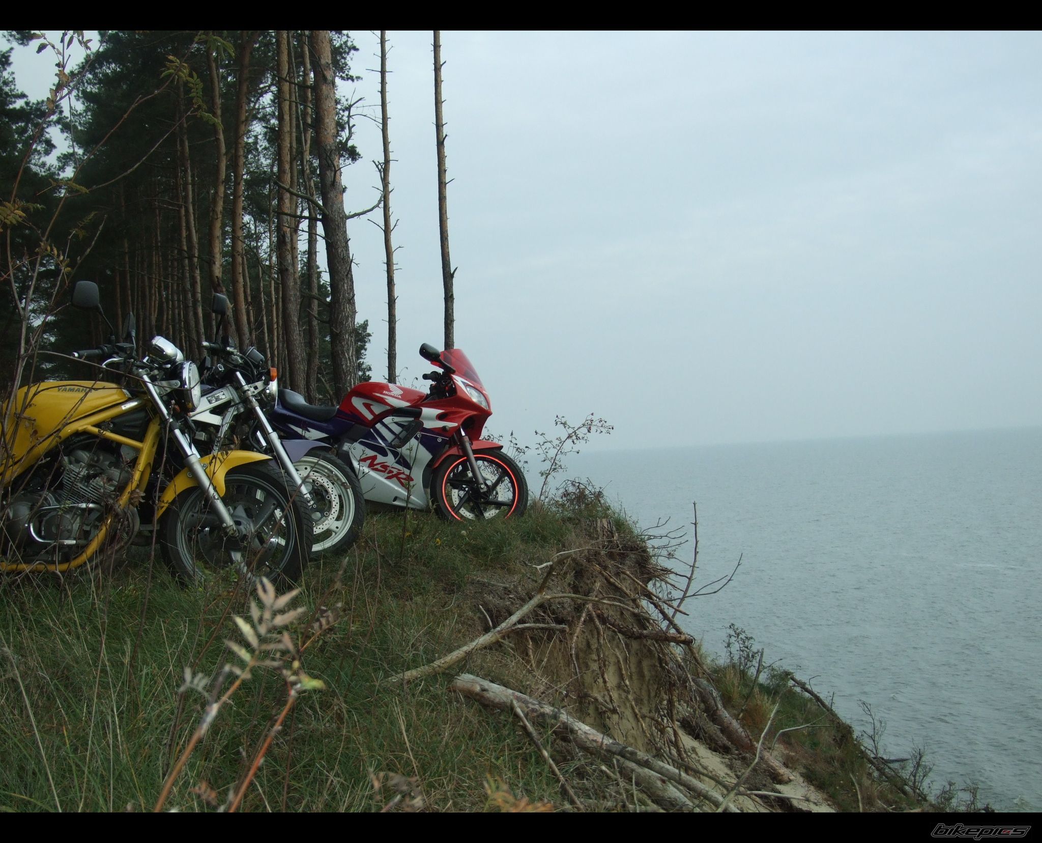 Photo 1461254